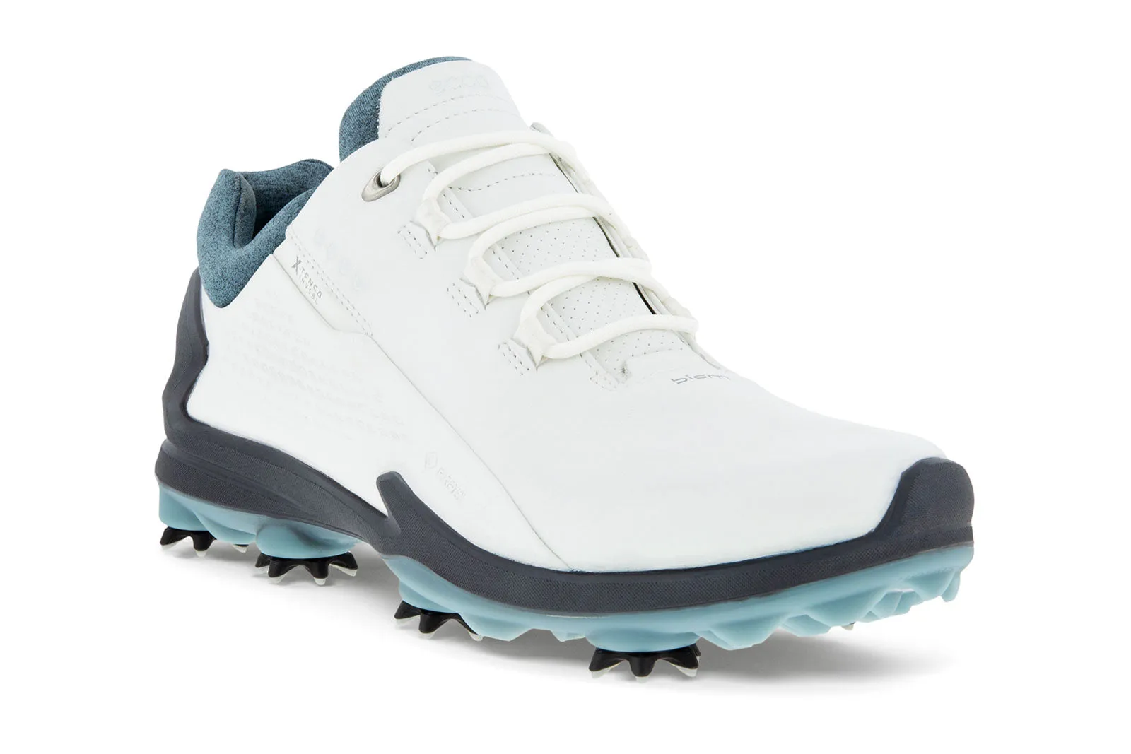 Ecco Biom M Golf G3 Men's