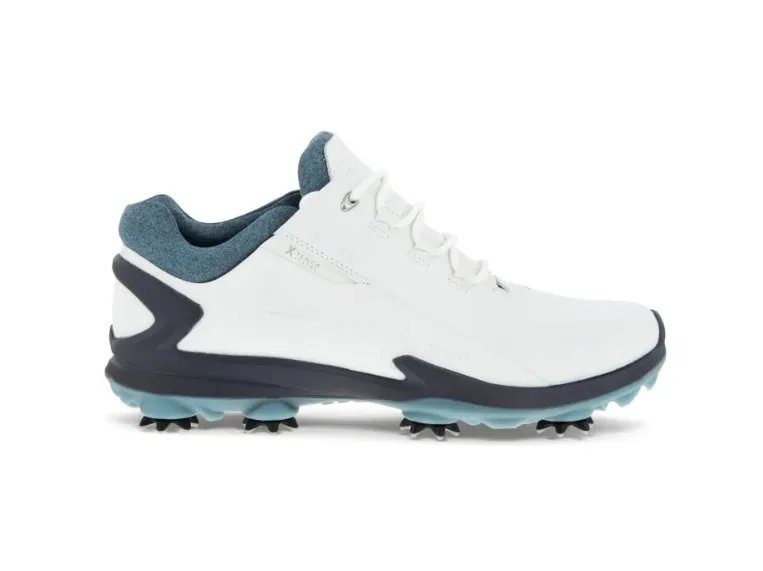 Ecco Biom M Golf G3 Men's