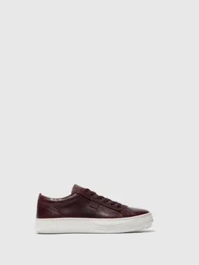 Lace-up Trainers CIVE424FLY RUG WINE