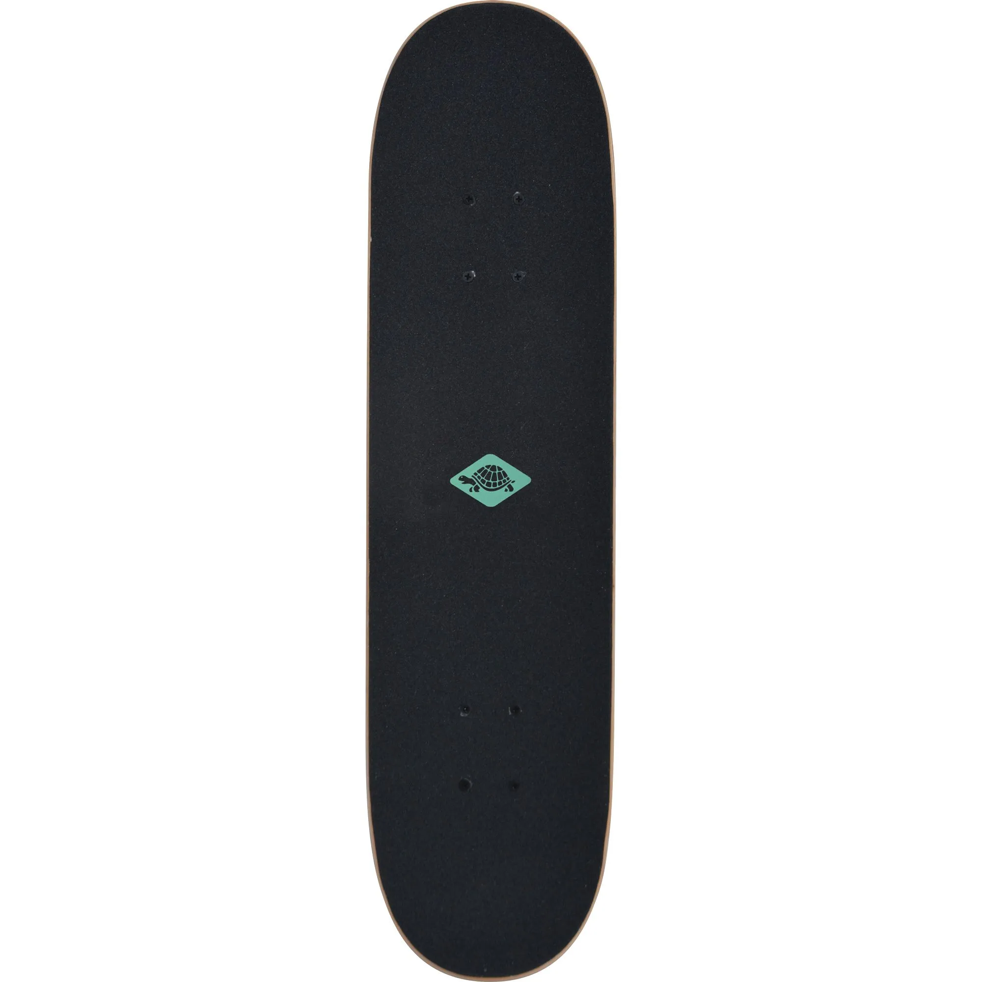 Schildkr\u00f6t Fun Sports - Slider 31 Skateboard aloha