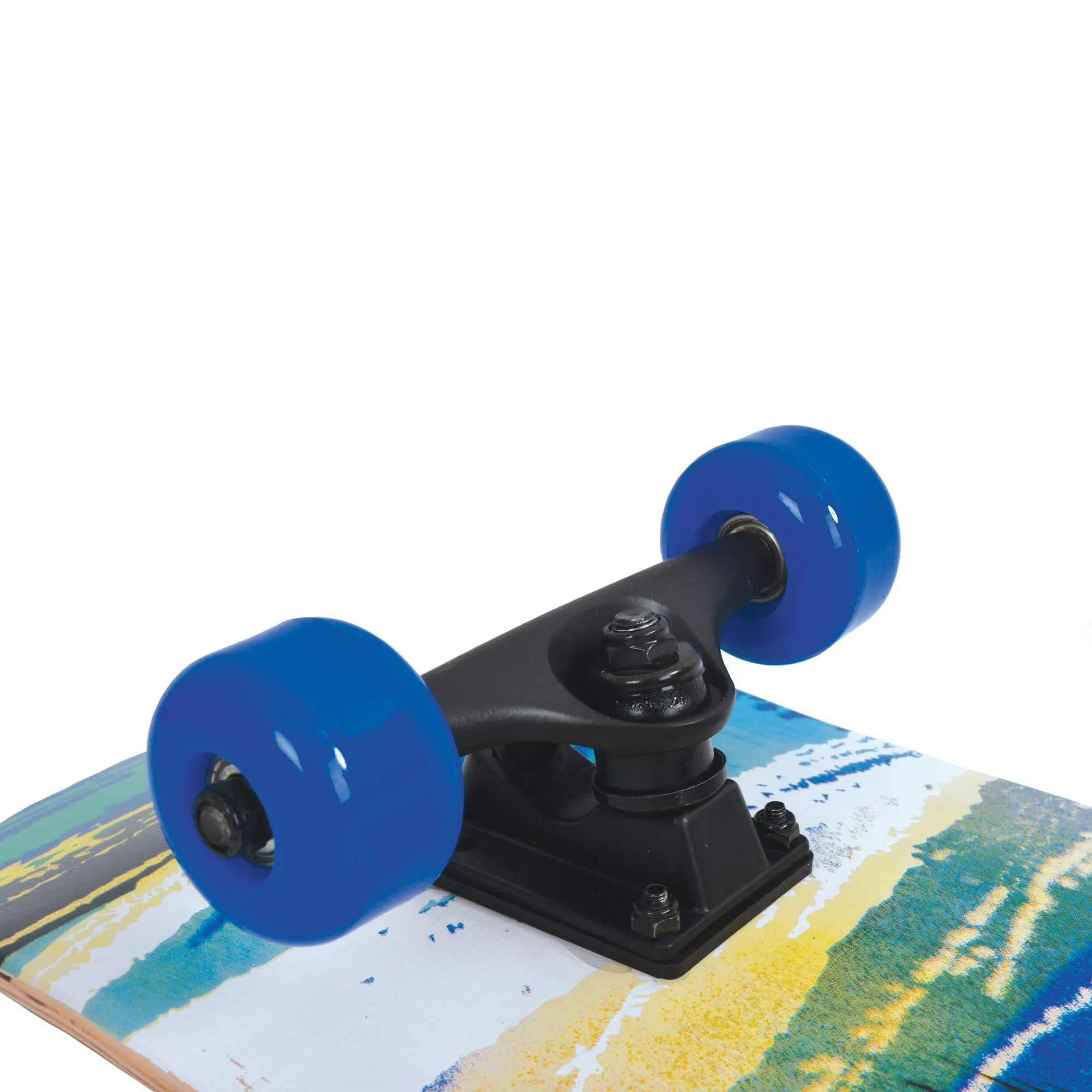 Schildkr\u00f6t Fun Sports - Slider 31 Skateboard aloha