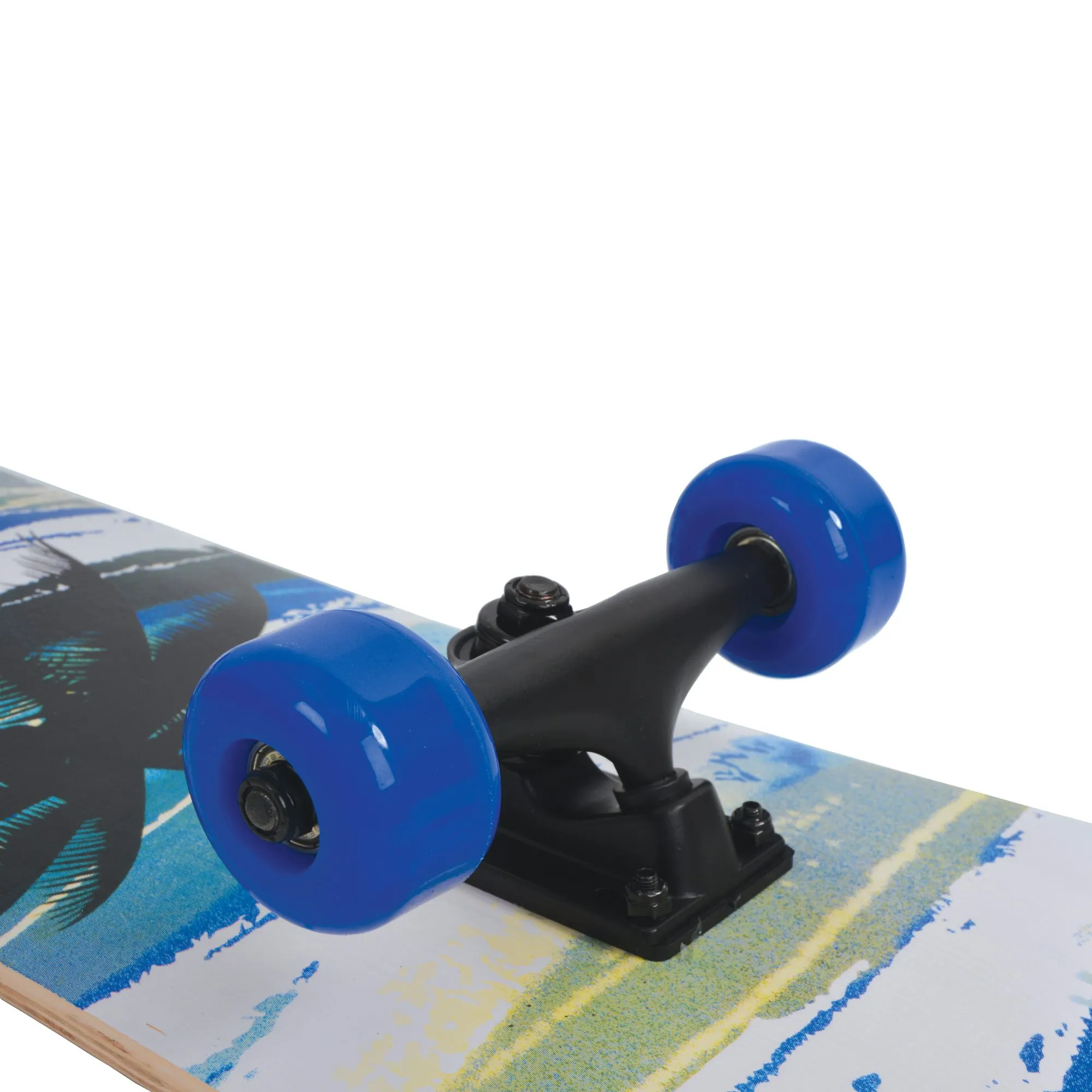 Schildkr\u00f6t Fun Sports - Slider 31 Skateboard aloha