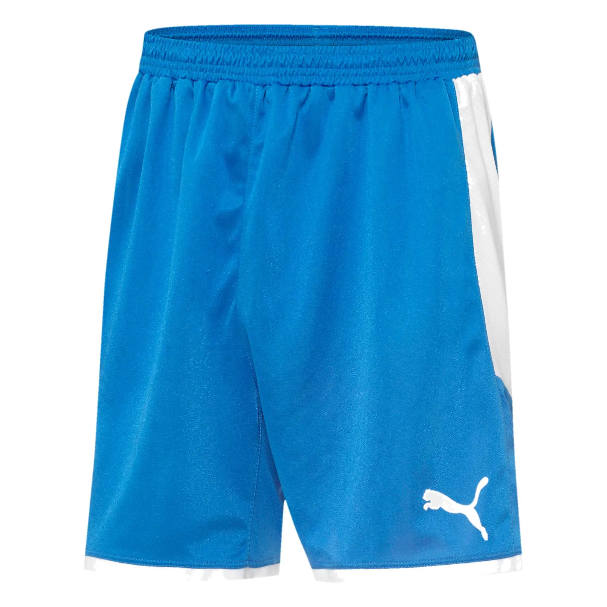 Short de soccer Puma Borussia