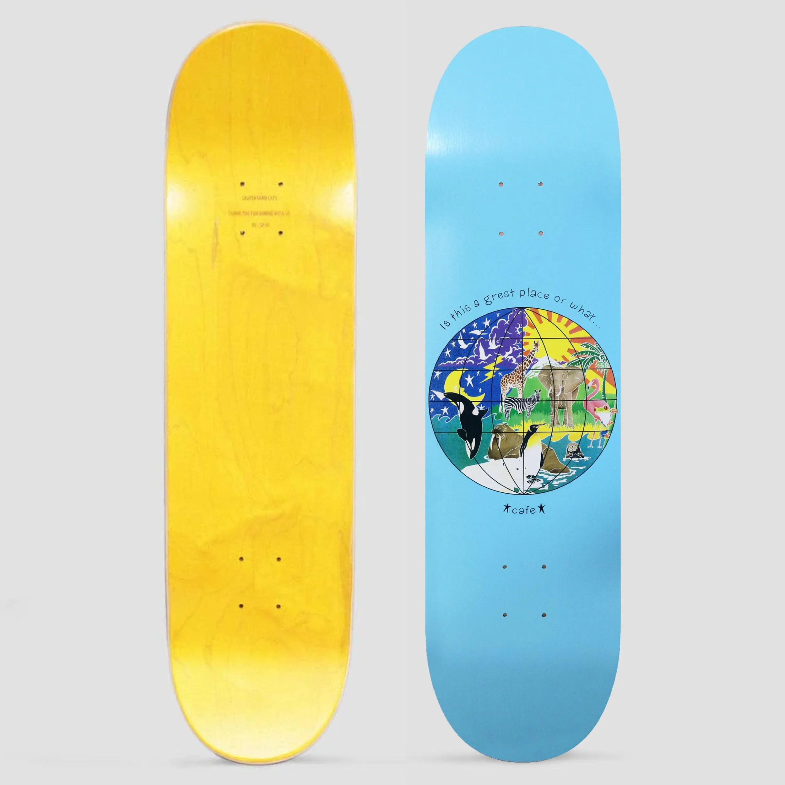 Skateboard Cafe 8.38 Great Place Skateboard Deck Baby Blue