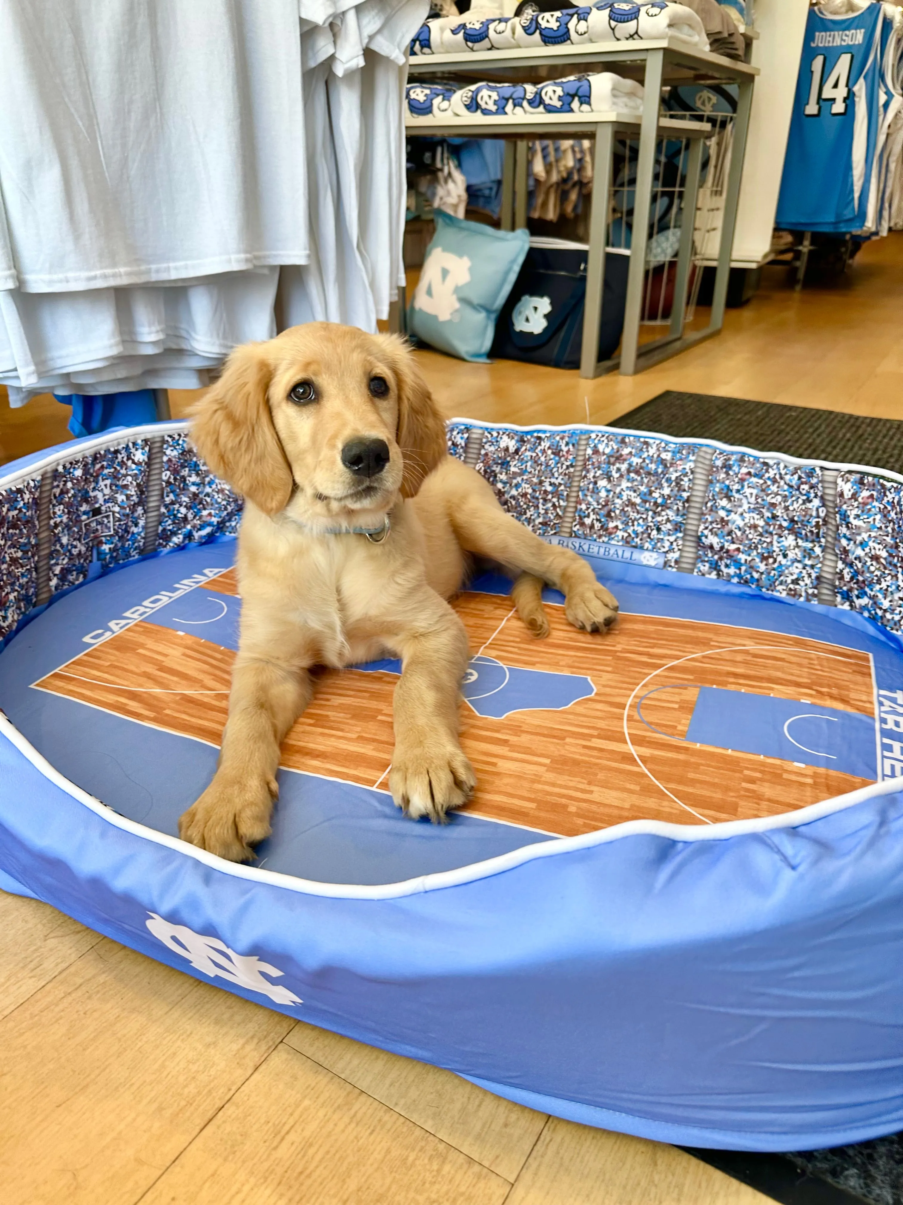 UNC Basketball Dog Bed Dean Dome Pet Bed